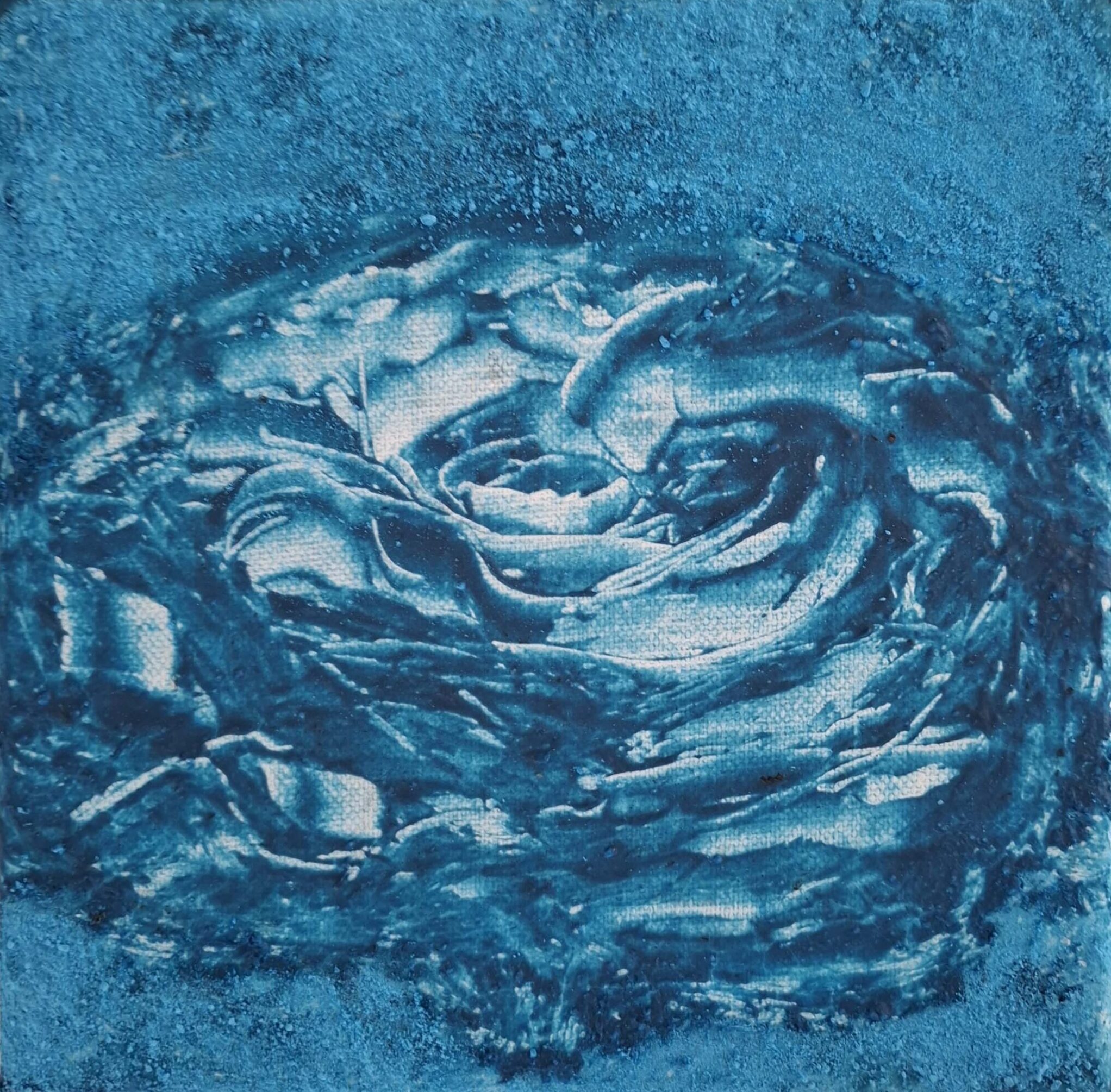 Les Limaces dans mon jardin